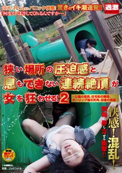 【NATURALHIGH】狭い場所の圧迫感と連続絶頂が女を狂わせる！2 【NHDTA-295】