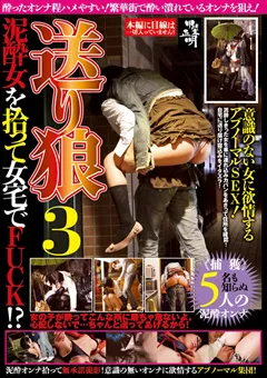 【プレイエンターテイメント】送り狼 泥○女を拾って女宅でFUCK！？3 【SMOW-175】