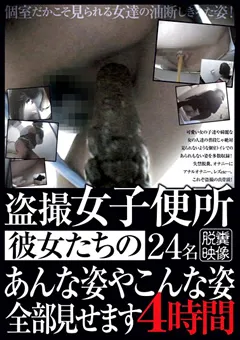 【マニアゼロ】○撮女子便所 彼女たちのあんな姿全部見せます4時間 【TOYG-003】