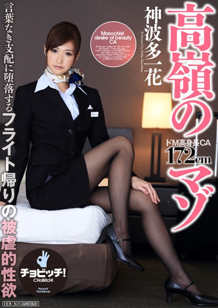 【電子書籍】高嶺のマゾ 神波多一花 神波多一花