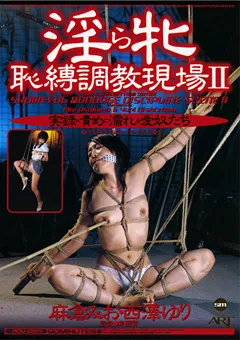 【アヴァ】淫ら牝 恥縛調○現場2 【ADV-0317】