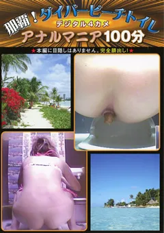 【紀州書店】那覇！ダイバービーチトイレ アナルマニア100分3 【BTB-03】
