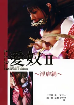 【なにわ書店】愛奴2 ～淫虐縄～ 池田こずえ 【DSMA-02】 池田こずえ