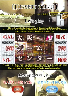 【紀州書店】GAL接写トイレ 大阪ゲームセンター10 【DTD-10】