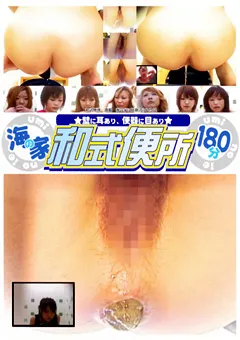 【紀州書店】★壁に耳あり、便器に目あり★ 海の家 和式便所1 【DWCS-01】