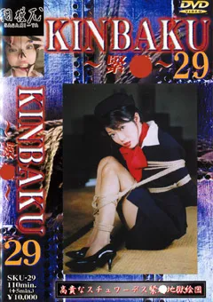 【GIGA】若林樹里 KINBAKU～緊○～29 【SKU-29】 若林樹里