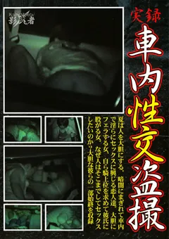 【ワールド・エキスプレス】実録 車内性交○撮 【SYNI-01】