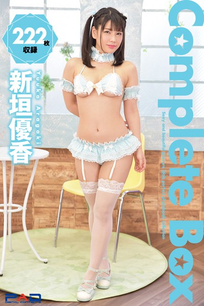 【DMM】222枚収録 新垣優香 Complete Box 新垣優香