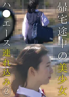 【アイビーワークス】帰宅途中の美少女ハ●エース連れ込み （2） 【IBWX790ZB】