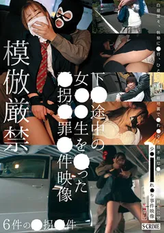 【GLAY'z】下校途中の女●●生を狙った誘●●罪事件映像 【SCR-346】