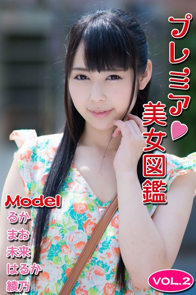 【DMM】プレミア美女図鑑 vol.2