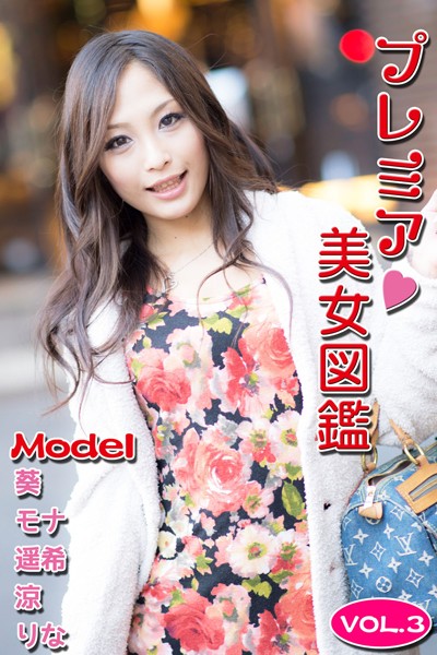 【DMM】プレミア美女図鑑 vol.3